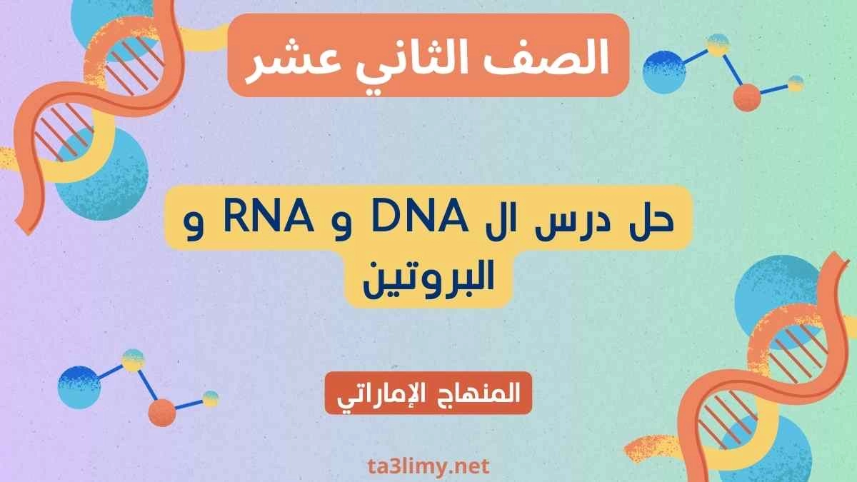 حل درس ال DNA و RNA و البروتين أحياء ثاني عشر إماراتي
